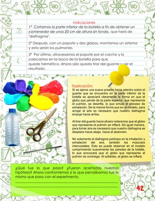 Indicaciones
1° Cortamos la parte inferior de la botella a fin de obtener un
contenedor de unos 20 cm de altura sin fondo, que hará de
"diafragma".
2° Después, con un popote y dos globos, montamos un sistema
y esto serán los pulmones.
3° Por último, atravesamos el popote por el corcho y lo
colocamos en la boca de la botella para que
quede hermético. Ahora sólo queda tirar del guante y ver el
resultado.
Explicación:
Si se ejerce una suave presión hacia adentro sobre el
guante que se encuentra en la parte inferior de la
botella se apreciará claramente la forma en que el
globo que pende de la parte superior, que representa
el pulmón, se desinfla, lo que emula el proceso de
exhalación. De la misma forma que en el modelo, para
arrojar el aire es necesario que nuestro diafragma
empuje hacia arriba.
Al tirar del guante hacia afuera notaremos que el globo
que representa el pulmón se inflará. De igual manera,
para tomar aire es necesario que nuestro diafragma se
desplace hacia abajo, hacia el abdomen.
No solamente el diafragma participa en la inhalación y
exhalación del aire, también los músculos
intercostales. Esto se puede observar en el modelo
comprimiendo suavemente las paredes de la botella,
lo que provocará que el globo que representa el
pulmón se contraiga. Al soltarlas, el globo se inflará.
¿Qué fue lo que paso? ¿Fueron acertadas nuestras
hipótesis? Ahora confrontemos si lo que pensábamos fue lo
mismo que paso con el experimento.
__________________________________________________________
__________________________________________________________
__________________________________________________________ 42
 