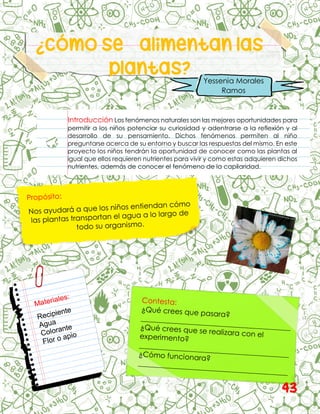 ¿Cómo se alimentan las
plantas?
Introducción Los fenómenos naturales son las mejores oportunidades para
permitir a los niños potenciar su curiosidad y adentrarse a la reflexión y al
desarrollo de su pensamiento. Dichos fenómenos permiten al niño
preguntarse acerca de su entorno y buscar las respuestas del mismo. En este
proyecto los niños tendrán la oportunidad de conocer como las plantas al
igual que ellos requieren nutrientes para vivir y como estas adquieren dichos
nutrientes, además de conocer el fenómeno de la capilaridad.
Yessenia Morales
Ramos
43
 
