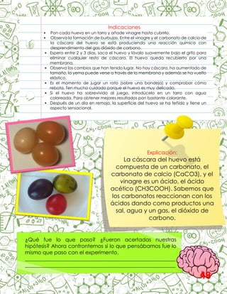 Indicaciones
 Pon cada huevo en un tarro y añade vinagre hasta cubrirlo.
 Observa la formación de burbujas. Entre el vinagre y el carbonato de calcio de
la cáscara del huevo se está produciendo una reacción química con
desprendimiento del gas dióxido de carbono.
 Espera entre 2 y 3 días, saca el huevo y lávalo suavemente bajo el grifo para
eliminar cualquier resto de cáscara. El huevo queda recubierto por una
membrana.
 Observa los cambios que han tenido lugar. No hay cáscara, ha aumentado de
tamaño, la yema puede verse a través de la membrana y además se ha vuelto
elástico.
 Es el momento de jugar un rato (sobre una bandeja) y comprobar cómo
rebota. Ten mucho cuidado porque el huevo es muy delicado.
 Si el huevo ha sobrevivido al juego, introdúcelo en un tarro con agua
coloreada. Para obtener mejores resultados pon bastante colorante.
 Después de un día en remojo, la superficie del huevo se ha teñido y tiene un
aspecto sensacional.
.
Explicación:
La cáscara del huevo está
compuesta de un carbonato, el
carbonato de calcio (CaCO3), y el
vinagre es un ácido, el ácido
acético (CH3COOH). Sabemos que
los carbonatos reaccionan con los
ácidos dando como productos una
sal, agua y un gas, el dióxido de
carbono.
¿Qué fue lo que paso? ¿Fueron acertadas nuestras
hipótesis? Ahora confrontemos si lo que pensábamos fue lo
mismo que paso con el experimento.
__________________________________________________________
__________________________________________________________
__________________________________________________________
48
 