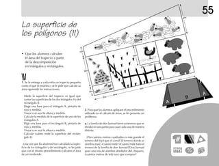 B
A
10m
30m
20m
20m
20m
30m
50m
30m
10m
A
55
La superficie de
los polígonos (II)
• Que los alumnos calculen
el área del trapecio a partir
de la descomposición
en triángulos y rectángulos.
1.1.1.1.1. Se le entrega a cada niño un trapecio pequeño
como el que se muestra y se le pide que calcule su
área siguiendo las instrucciones.
Medir la superficie del trapecio es igual que
sumar las superficies de los dos triángulos A y del
rectángulo B.
Elegir una base para el triángulo A, pintarla de
rojo y medirla.
Trazar con azul la altura y medirla.
Calcular la medida de la superficie de uno de los
triángulos A.
Eligir una base para el rectángulo B, pintarla de
rojo y medirla.
Trazar con azul la altura y medirla.
Calcular cuánto mide la superficie del rectán-
gulo B.
Una vez que los alumnos han calculado la super-
ficie de los triángulos y del rectángulo, se les pide
que con el mismo procedimiento calculen el área
de un romboide.
2.2.2.2.2. Para que los alumnos apliquen el procedimiento
utilizado en el cálculo de áreas, se les presenta un
problema:
a.a.a.a.a. La familia de don Samuel tiene un terreno que se
dividió en seis partes para usar cada una de manera
distinta.
¿Por cuántos metros cuadrados es más grande el
terreno del frijol que el corral? El terreno donde se
siembra maíz, ¿cuánto mide? ¿Cuánto mide todo el
terreno de la familia de don Samuel? Don Samuel
puso una tela de alambre alrededor del chiquero,
¿cuántos metros de tela tuvo que comprar?
 