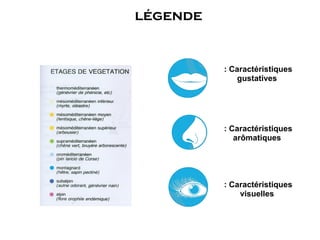 légende


          : Caractéristiques
              gustatives




          : Caractéristiques
             arômatiques




          : Caractéristiques
              visuelles
 