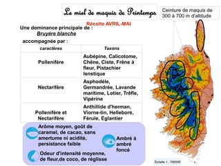Le miel de maquis de Printemps    Ceinture de maquis de
                                                      300 à 700 m d'altitude
                          Récolte AVRIL-MAI
Une dominance principale de :
      Bruyère blanche
accompagnée par :
       caractères                  Taxons
                          Aubépine, Calicotome,
      Pollenifère         Chêne, Ciste, Frêne à
                          fleur, Pistachier
                          lenstique
                          Asphodèle,
      Nectarifère         Germandrée, Lavande
                          maritime, Lotier, Trêfle,
                          Vipérine
                          Anthillide d'herman,
     Pollenifère et       Viorne-tin, Hellebore,
      Nectarifère         Férule, Eglantier
       Arôme moyen, goût de
       caramel, de cacao, sans
       amertume ni acidité,              Ambré à
       persistance faible                ambré
                                         foncé
       Odeur d'intensité moyenne,
       de fleur,de coco, de réglisse
 