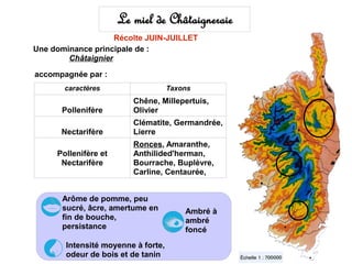 Le miel de Châtaigneraie
                    Récolte JUIN-JUILLET
Une dominance principale de :
        Châtaignier

accompagnée par :
       caractères                   Taxons
                         Chêne, Millepertuis,
      Pollenifère        Olivier
                         Clématite, Germandrée,
      Nectarifère        Lierre
                         Ronces, Amaranthe,
     Pollenifère et      Anthilided'herman,
      Nectarifère        Bourrache, Buplèvre,
                         Carline, Centaurée,


       Arôme de pomme, peu
       sucré, âcre, amertume en         Ambré à
       fin de bouche,                   ambré
       persistance                      foncé
       Intensité moyenne à forte,
       odeur de bois et de tanin
 
