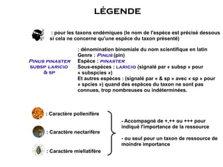 légende

        : pour les taxons endémiques (le nom de l'espèce est précisé dessous
       si cela ne concerne qu'une espèce du taxon présenté)

                   : dénomination binomiale du nom scientifique en latin
                   Genre : Pinus (pin)
Pinus pinaster     Espèce : pinaster
subsp laricio      Sous-espèces : laricio (signalé par « subsp » pour
     & sp          « subspcies »)
                   Et autres espèces : (signalé par « & sp » avec « sp » pour
                   « spcies ») quand des espèces du taxon ne sont pas
                   connues, trop nombreuses ou indéterminées.



     : Caractère pollenifère
                                     - Accompagné de +,++ ou +++ pour
                                     indiqué l'importance de la ressource
      : Caractère nectarifère
                                     - ou seul pour un taxon de ressource de
                                     moindre importance
      : Caractère miellatifère
 