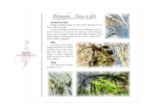 ­
�ext��
�h�to�ra��i�
Photographie - Nature �t effets
Travail sur le rendu
L'image numérique permet des effets dont la puissance est à la
fois un outil et un risque.
Les effets numériques rendent service en contribuant à une créa-
tion à la hauteur de Ce qui est ; ils seraient par contre trompeurs
et faux amis si la palette chatoyante qu'ils aident à déployer rend
l'objet­ initialement photographié non pas second - comme base -,
mais secondaire, insignifiant…
Effets
Au cours de mon appren-
tissage des logiciels de retouche
numérique j'en suis venu à privi-
légier deux effets : l'un est tel-
lurique et chaud, rougeoyant,
tandis que l'autre est éthéré et
froid, azuréen.
Tirage
Tout cliché, dans sa variante
de forme, en 29 ex.
 