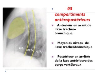  03
compartiments
antéropostérieurs
Antérieur en avant de
l’axe trachéo-
bronchique.
Moyen au niveau de
l’axe trachéobronchique
Postérieur en arrière
de la face antérieure des
corps vertébraux
 