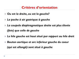 Critères d’orientation
 Ou est la droite, ou est la gauche?
 La poche à air gastrique: à gauche
 La coupole diaphragmatique droite est plus élevée
(foie) que celle de gauche
 Le hile gauche est haut situé par rapport au hile droit
 Bouton aortique et arc inferieur gauche du coeur
(qui est allongé): sont situé à gauche
 