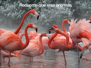 Aprende a medir




http://mashable.com/2009/10/27/social-media-roi/
 