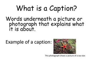 What is a Caption?
Words underneath a picture or
photograph that explains what
it is about.
Example of a caption:
This pho...