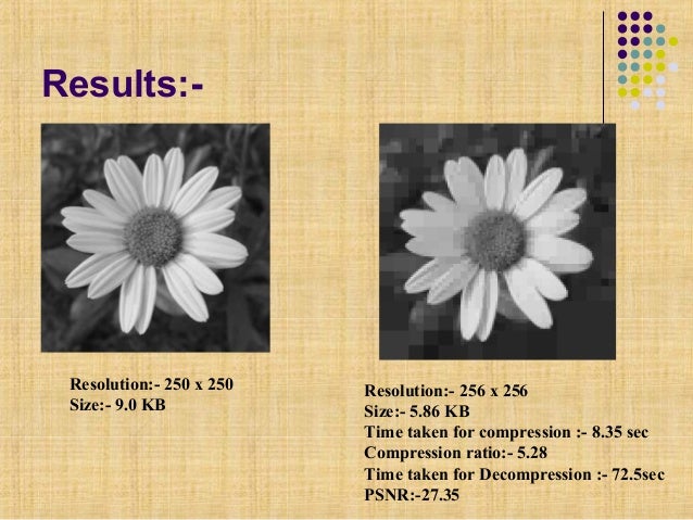 fractal image compression software free fractal image compression software free