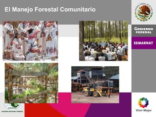 El Manejo Forestal Comunitario 