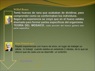 Hans Driesch 1900 Repitiò experiencias con huevo de erizo, en lugar de trabajar un cèlula , lo trabajò  cuando estaba en estadode 2 cèlulas, de lo que se obtuvo que de cada una se dearrollò  un embriòn. SIGUIENTE 
