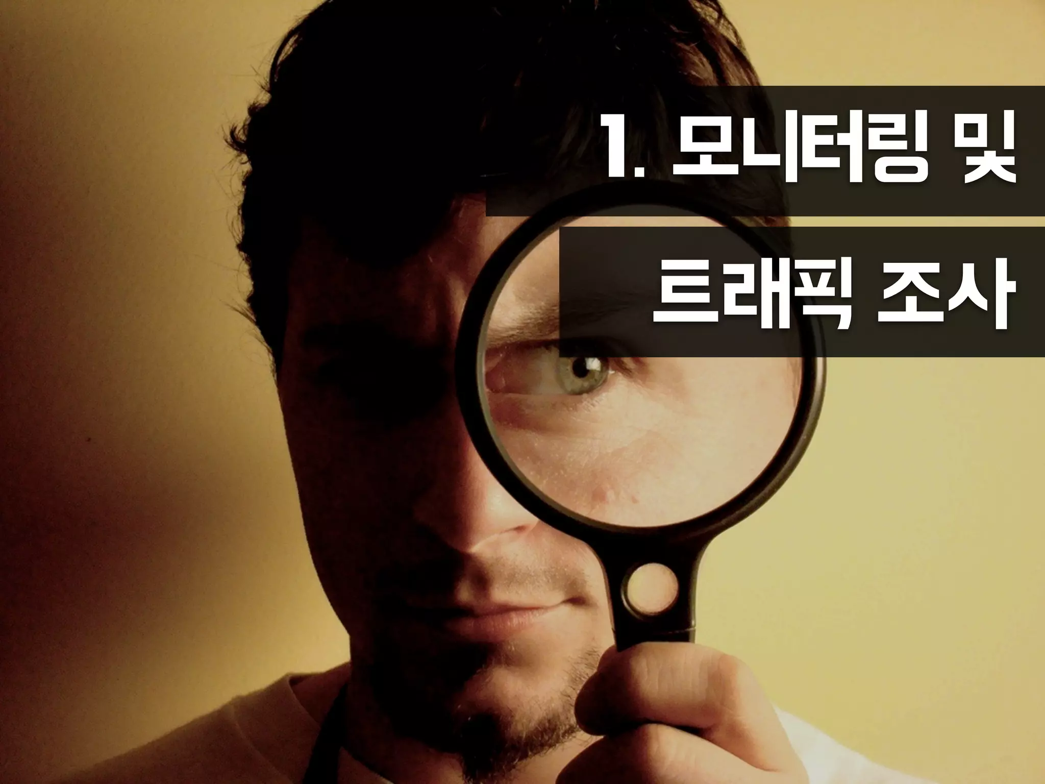 1. 모니터링 및
트래픽 조사
 