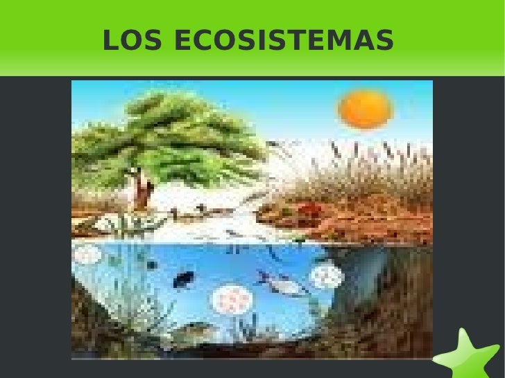 Ecosistemas Biologia Trabajo De 4ºeso B