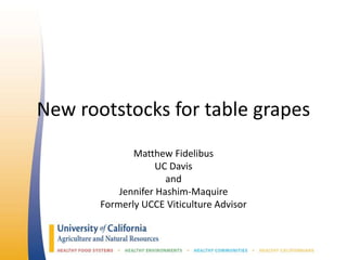 New rootstocks for table grapes
Matthew Fidelibus
UC Davis
and
Jennifer Hashim-Maquire
Formerly UCCE Viticulture Advisor
 