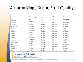 ‘Autumn King’, Ducor, Fruit Quality
Berry weight
Brix
pH TA
Cultivar (g) (%) (%) (g/100 ml)
10-17A 5.62 abc 15.7 d 3.85 e 0.30 bcde
1103 P 5.95 a 16.95 ab 3.89 cde 0.32 abc
‘Crimson’ 5.45 abc 16.49 bc 3.89 cde 0.30 def
Freedom 5.27 bcd 17.45 a 3.97 ab 0.31 bcd
GRN1 5.51 abc 16.04 cd 3.88 cde 0.32 abc
GRN2 5.71 abc 16.39 bc 3.91 bcde 0.33 a
GRN3 5.80 ab 16.77 ab 3.91 bcde 0.29 def
GRN4 5.60 abc 16.86 ab 3.92 bcd 0.30 cde
Harmony 5.64 abc 17.39 a 4.01 a 0.28 f
Own-rooted 4.79 d 17.04 ab 3.85 e 0.29 ef
RS3 5.54 abc 16.83 ab 3.92 bcd 0.30 bcde
RSD34 5.19 cd 17.40 a 3.92 bcd 0.28 f
Salt Creek 5.91 a 16.51 bc 3.89 cde 0.29 def
Teleki 5C 5.44 abc 17.27 a 3.92 bcd 0.32 ab
 