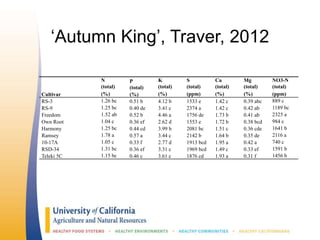 ‘Autumn King’, Traver, 2012
N
(total)
P
(total)
K
(total)
S
(total)
Ca
(total)
Mg
(total)
NO3-N
(total)
Cultivar (%) (%) (%) (ppm) (%) (%) (ppm)
RS-3 1.26 bc 0.51 b 4.12 b 1533 e 1.42 c 0.39 abc 889 c
RS-9 1.25 bc 0.40 de 3.41 c 2374 a 1.42 c 0.42 ab 1189 bc
Freedom 1.52 ab 0.52 b 4.46 a 1756 de 1.73 b 0.41 ab 2325 a
Own Root 1.04 c 0.36 ef 2.62 d 1553 e 1.72 b 0.38 bcd 984 c
Harmony 1.25 bc 0.44 cd 3.99 b 2081 bc 1.51 c 0.36 cde 1641 b
Ramsey 1.78 a 0.57 a 3.44 c 2142 b 1.64 b 0.35 de 2116 a
10-17A 1.05 c 0.33 f 2.77 d 1913 bcd 1.95 a 0.42 a 740 c
RSD-34 1.31 bc 0.36 ef 3.31 c 1969 bcd 1.49 c 0.33 ef 1591 b
Teleki 5C 1.15 bc 0.46 c 3.61 c 1876 cd 1.93 a 0.31 f 1456 b
 
