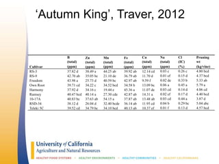 ‘Autumn King’, Traver, 2012
B
(total)
Zn
(total)
Mn
(total)
Fe
(total)
Cu
(total)
Na
(total)
Cl
(IC)
Pruning
wt
Cultivar (ppm) (ppm) (ppm) (ppm) (ppm) (ppm) (%) (kg/vine)
RS-3 37.82 d 38.49 a 44.25 ab 39.92 ab 12.14 cd 0.03 c 0.26 c 4.80 bcd
RS-9 42.70 ab 35.05 bc 21.10 de 36.79 ab 11.70 d 0.01 ef 0.15 d 4.37 bcd
Freedom 43.98 a 25.73 d 40.59 bc 42.97 ab 9.59 f 0.02 de 0.33 b 5.33 ab
Own Root 39.71 cd 34.22 c 34.52 bcd 34.58 b 13.09 bc 0.06 a 0.45 a 5.79 a
Harmony 37.92 d 34.16 c 19.44 e 45.36 a 11.07 de 0.03 cd 0.14 d 4.06 cd
Ramsey 40.47 bcd 40.14 a 27.30 cde 42.87 ab 14.31 a 0.02 ef 0.17 d 4.40 bcd
10-17A 40.83 bc 37.63 ab 54.15 a 37.87 ab 13.48 ab 0.03 cd 0.44 a 3.87 d
RSD-34 38.12 d 26.04 d 32.40 bcde 36.14 ab 11.95 cd 0.04 b 0.29 bc 5.04 abc
Teleki 5C 39.52 cd 34.79 bc 34.10 bcd 40.13 ab 10.37 ef 0.01 f 0.13 d 4.57 bcd
 