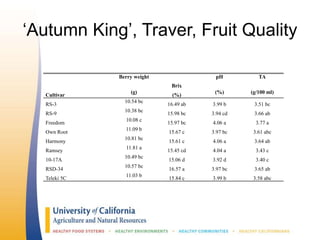 ‘Autumn King’, Traver, Fruit Quality
Berry weight
Brix
pH TA
Cultivar
(g)
(%)
(%) (g/100 ml)
RS-3
10.54 bc
16.49 ab 3.99 b 3.51 bc
RS-9
10.38 bc
15.98 bc 3.94 cd 3.66 ab
Freedom
10.08 c
15.97 bc 4.06 a 3.77 a
Own Root
11.09 b
15.67 c 3.97 bc 3.61 abc
Harmony
10.81 bc
15.61 c 4.06 a 3.64 ab
Ramsey
11.81 a
15.45 cd 4.04 a 3.43 c
10-17A
10.49 bc
15.06 d 3.92 d 3.40 c
RSD-34
10.57 bc
16.57 a 3.97 bc 3.65 ab
Teleki 5C
11.03 b
15.84 c 3.99 b 3.58 abc
 