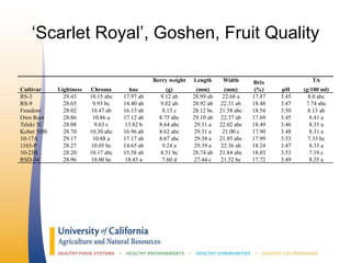 ‘Scarlet Royal’, Goshen, Fruit Quality
Berry weight Length Width Brix TA
Cultivar Lightness Chroma hue (g) (mm) (mm) (%) pH (g/100 ml)
RS-3 29.43 10.15 abc 17.97 ab 9.12 ab 28.99 ab 22.68 a 17.87 3.45 8.0 abc
RS-9 28.65 9.93 bc 14.40 ab 9.02 ab 28.92 ab 22.31 ab 18.48 3.47 7.74 abc
Freedom 28.02 10.47 ab 16.15 ab 8.15 c 28.12 bc 21.58 abc 18.54 3.50 8.13 ab
Own Root 28.86 10.86 a 17.12 ab 8.75 abc 29.10 ab 22.37 ab 17.69 3.45 8.41 a
Teleki 5C 28.08 9.63 c 13.82 b 8.64 abc 29.31 a 22.02 abc 18.49 3.46 8.35 a
Kober 5BB 28.70 10.30 abc 16.96 ab 8.62 abc 29.31 a 21.00 c 17.90 3.48 8.31 a
10-17A 29.17 10.88 a 17.17 ab 8.67 abc 29.38 a 21.85 abc 17.99 3.53 7.33 bc
1103-P 28.27 10.05 bc 14.65 ab 9.24 a 29.39 a 22.36 ab 18.24 3.47 8.33 a
10-23B 28.20 10.17 abc 15.58 ab 8.51 bc 28.74 ab 21.84 abc 18.03 3.53 7.19 c
RSD-34 28.96 10.00 bc 18.43 a 7.60 d 27.44 c 21.52 bc 17.72 3.49 8.35 a
 