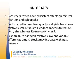 Summary
• Rootstocks tested have consistent effects on mineral
nutrition and salt uptake
• Rootstock effects on fruit quality and yield have been
relatively small, though Freedom appears to reduce
berry size whereas Ramsey promotes it
• Pest pressure has been relatively low and variable;
differences among stocks may increase with pest
pressure
 