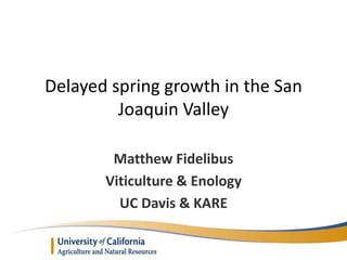 Delayed spring growth in the San
Joaquin Valley
Matthew Fidelibus
Viticulture & Enology
UC Davis & KARE
 