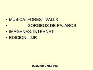 MUSICA: FOREST VALLK GORGEOS DE PAJAROS IMÁGENES: INTERNET EDICION : JJR  09/27/09   07:56 PM 