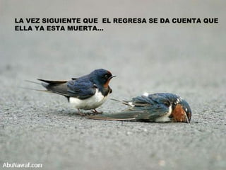 LA VEZ SIGUIENTE QUE  EL REGRESA SE DA CUENTA QUE ELLA YA ESTA MUERTA… 