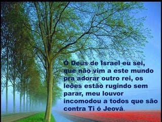 Ó Deus de Israel eu sei,
que não vim a este mundo
pra adorar outro rei, os
leões estão rugindo sem
parar, meu louvor
incomodou a todos que são
contra Ti ó Jeová.
 