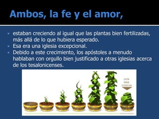  estaban creciendo al igual que las plantas bien fertilizadas,
más allá de lo que hubiera esperado.
 Esa era una iglesia excepcional.
 Debido a este crecimiento, los apóstoles a menudo
hablaban con orgullo bien justificado a otras iglesias acerca
de los tesalonicenses.
 