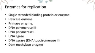 Enzymes for replication
• Single stranded binding protein or enzyme.
• Helicase enzyme.
• Primase enzyme.
• DNA polymerase III
• DNA polymerase I
• DNA ligase
• DNA gyrase (DNA topoisomerase II)
• Dam methylase enzyme
 