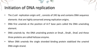 Initiation of DNA replication
• The E.coli replication origin oriC , consists of 245 bp and contains DNA sequence
elements that are highly conserved among replication origins.
• DNA first unwinds at the position of A=T base pairs called the DNA unwinding
element.
• DNA unwinds by the DNA unwinding protein or DnaA , DnaB , DnaC and these
three proteins are called helicase enzyme.
• When DNA unwinds the single stranded binding protein stabilized the unwind
DNA single strand.
 