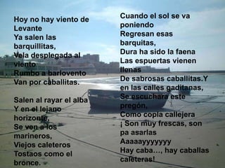 Hoy no hay viento de     Cuando el sol se va
Levante                  poniendo
Ya salen las             Regresan esas
barquillitas,            barquitas,
Vela desplegada al       Dura ha sido la faena
viento                   Las espuertas vienen
Rumbo a barlovento       llenas
Van por caballitas.      De sabrosas caballitas.Y
                         en las calles gaditanas,
Salen al rayar el alba   Se escuchara este
Y en el lejano           pregón,
horizonte,               Como copla callejera
Se ven a los             ¡ Son muy frescas, son
marineros,               pa asarlas
Viejos caleteros         Aaaaayyyyyyy
Tostaos como el          Hay caba…, hay caballas
bronce.                  caleteras!
 
