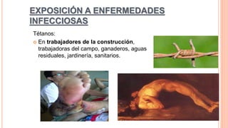 EXPOSICIÓN A ENFERMEDADES
INFECCIOSAS
Tétanos:
 En trabajadores de la construcción,
trabajadoras del campo, ganaderos, aguas
residuales, jardinería, sanitarios.
 