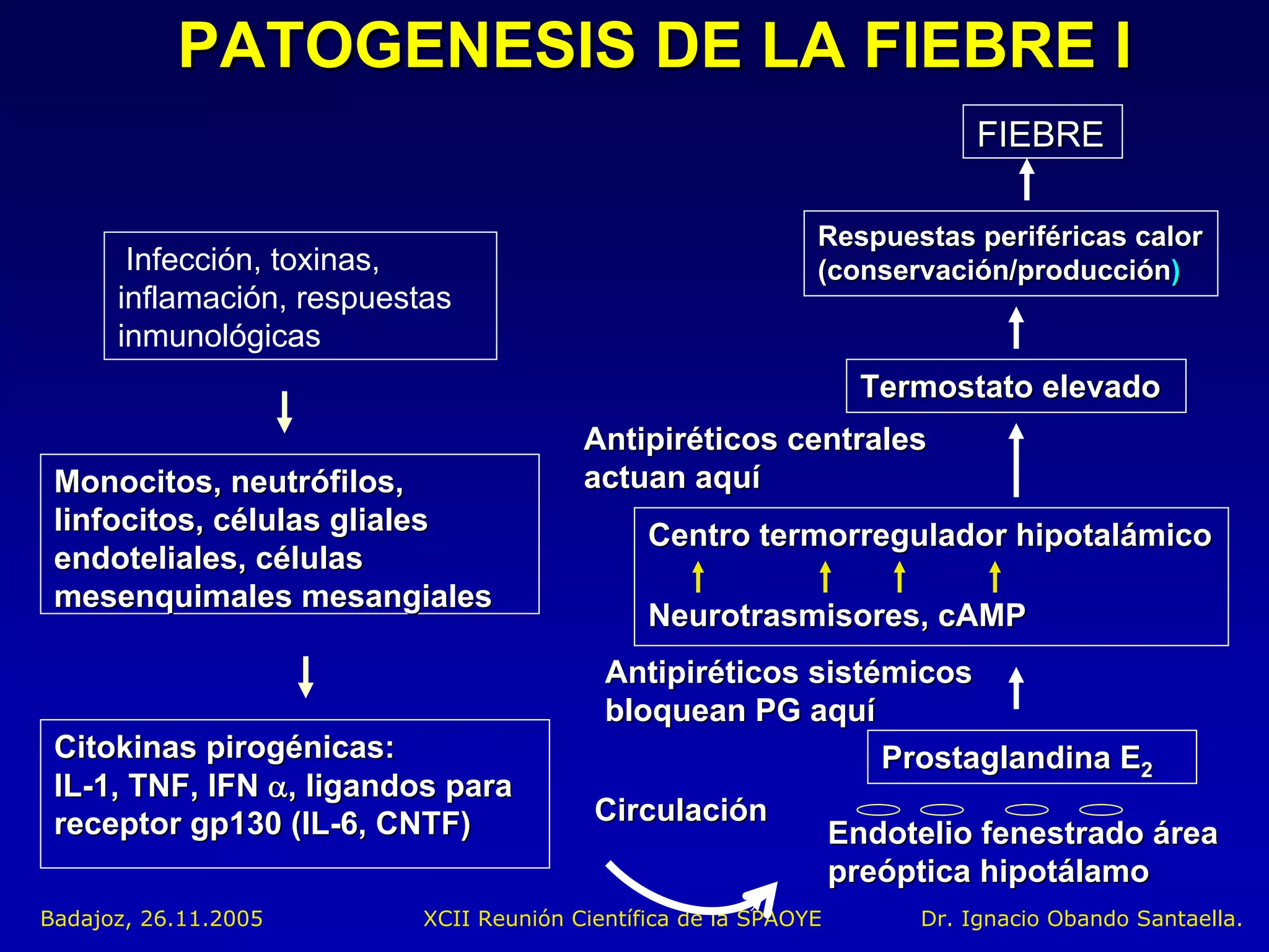 PATOGENESIS DE LA FIEBRE I
                                                                            FIEBRE

                                                              Respuestas periféricas calor
       Infección, toxinas,                                    (conservación/producción)
      inflamación, respuestas
      inmunológicas
                                                                    Termostato elevado
                                         Antipiréticos centrales
 Monocitos, neutrófilos,                 actuan aquí
 linfocitos, células gliales                   Centro termorregulador hipotalámico
 endoteliales, células
 mesenquimales mesangiales
                                               Neurotrasmisores, cAMP
                                           Antipiréticos sistémicos
                                           bloquean PG aquí
 Citokinas pirogénicas:                                       Prostaglandina E2
 IL-1, TNF, IFN α, ligandos para
 receptor gp130 (IL-6, CNTF)              Circulación
                                                                  Endotelio fenestrado área
                                                                  preóptica hipotálamo
Badajoz, 26.11.2005        XCII Reunión Científica de la SPAOYE        Dr. Ignacio Obando Santaella.
 