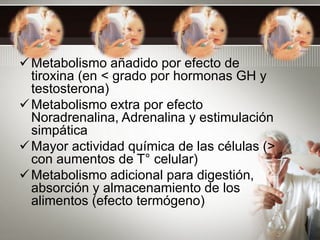 Metabolismo añadido por efecto de
tiroxina (en < grado por hormonas GH y
testosterona)
Metabolismo extra por efecto
Nora...