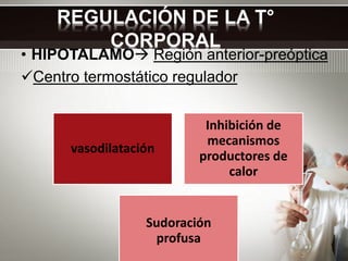 REGULACIÓN DE LA T°
CORPORAL
• HIPOTALAMO Región anterior-preóptica
Centro termostático regulador
vasodilatación
Inhibic...