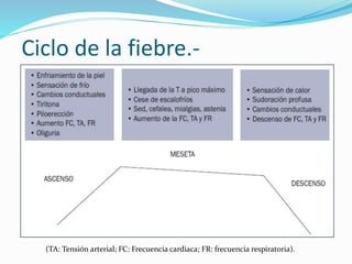 Ciclo de la fiebre.- 
(TA: Tensión arterial; FC: Frecuencia cardiaca; FR: frecuencia respiratoria). 
 