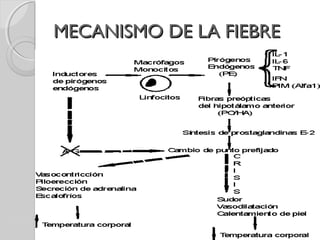 MECANISMO DE LA FIEBREMECANISMO DE LA FIEBRE
 