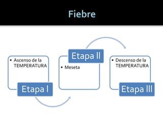 • Ascenso de la
TEMPERATURA
Etapa l
• Meseta
Etapa ll • Descenso de la
TEMPERATURA
Etapa lll
 