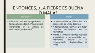 ENTONCES, ¿LA FIEBRE ES BUENA
O MALA?
Beneficios
• Inhibición de microorganismos a
temperaturas altas (S. Pneumoniae)
• incremento en la síntesis de
anticuerpos, activación LT.
Daños
• La actividad de las células NK y la
producción de LTc se deteriora
• A temperaturas >42°C se producen
cambios morfológicos en los
neutrófilos
• Afecta la síntesis de ácidos nucleicos
y proteínas, la permeabilidad de l
membrana celular y la
concentración citoplasmática de
iones
 