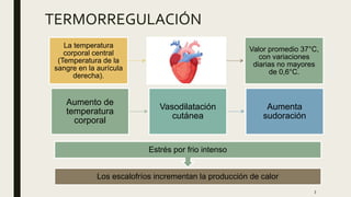 La temperatura
corporal central
(Temperatura de la
sangre en la aurícula
derecha).
Valor promedio 37°C,
con variaciones
diarias no mayores
de 0,6°C.
3
Los escalofríos incrementan la producción de calor
Estrés por frio intenso
Aumento de
temperatura
corporal
Vasodilatación
cutánea
Aumenta
sudoración
TERMORREGULACIÓN
 
