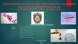 UNIVERSIDAD NACIONAL SAN CRISTOBAL DE HUAMANGA
FACULTAD DE CIENCIAS BIOLOGICAS
ESCUELA PROFESIONAL DE BIOLOGIA
INFECCION POR FIEBRE TIFOIDEA
DOCENTE : ALARCON GUERRERO, JOSE
ALUMNOS : CARBAJAL SULCA, DEYSI
: CORAS PRADO, ZINTHIA YULI
: GOMEZ LUNA, FLOR DE LIZ
: JAYACC DE LA CRUZ, LIZ MAYRA
: MURGA CORDOVA, DIEGO
: LECHE LOZANO, JUAN CARLOS
AYACUCHO_PERU
2019
 
