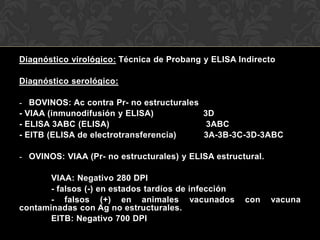 Diagnóstico virológico: Técnica de Probang y ELISA Indirecto

Diagnóstico serológico:

-    BOVINOS: Ac contra Pr- no estructurales
-   VIAA (inmunodifusión y ELISA)            3D
-   ELISA 3ABC (ELISA)                        3ABC
-   EITB (ELISA de electrotransferencia)     3A-3B-3C-3D-3ABC

- OVINOS: VIAA (Pr- no estructurales) y ELISA estructural.

       VIAA: Negativo 280 DPI
       - falsos (-) en estados tardíos de infección
       - falsos (+) en animales vacunados             con    vacuna
contaminadas con Ag no estructurales.
       EITB: Negativo 700 DPI
 