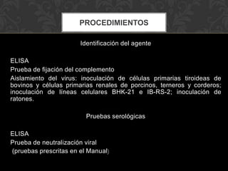 PROCEDIMIENTOS

                       Identificación del agente

ELISA
Prueba de fijación del complemento
Aislamiento del virus: inoculación de células primarias tiroideas de
bovinos y células primarias renales de porcinos, terneros y corderos;
inoculación de líneas celulares BHK-21 e IB-RS-2; inoculación de
ratones.

                         Pruebas serológicas

ELISA
Prueba de neutralización viral
(pruebas prescritas en el Manual)
 