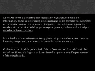 La FAO hicieron el aumento de las medidas me vigilancia, campañas de
información, planes de destrucción de los cadáveres de los animales y el suministro
de vacunas (es una medida de carácter temporal). Estas últimas no suponen la
erradicación de la enfermedad ya que sólo protegen temporalmente al animal pero
no lo hacen inmune al virus.

Los animales serían enviados a rastros y plantas de procesamiento para consumo
humano y sus productos se aprovecharían en la cadena alimentaria.

Cualquier sospecha de la presencia de fiebre aftosa u otra enfermedad vesicular
deberá notificarse a la Sagarpa en forma inmediata para su atención por personal
oficial especializado.
 