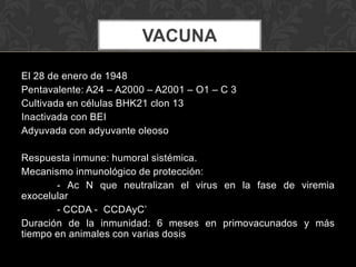 VACUNA

El 28 de enero de 1948
Pentavalente: A24 – A2000 – A2001 – O1 – C 3
Cultivada en células BHK21 clon 13
Inactivada con BEI
Adyuvada con adyuvante oleoso

Respuesta inmune: humoral sistémica.
Mecanismo inmunológico de protección:
       - Ac N que neutralizan el virus en la fase de viremia
exocelular
       - CCDA - CCDAyC’
Duración de la inmunidad: 6 meses en primovacunados y más
tiempo en animales con varias dosis
 