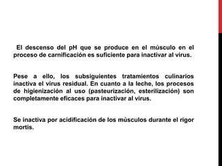 El descenso del pH que se produce en el músculo en el
proceso de carnificación es suficiente para inactivar al virus.
Pese a ello, los subsiguientes tratamientos culinarios
inactiva el virus residual. En cuanto a la leche, los procesos
de higienización al uso (pasteurización, esterilización) son
completamente eficaces para inactivar al virus.
Se inactiva por acidificación de los músculos durante el rigor
mortis.
 