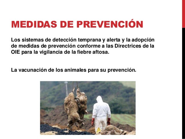 Fiebre aftosa