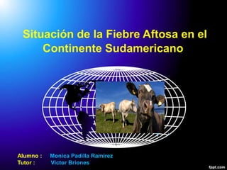 Situación de la Fiebre Aftosa en el
Continente Sudamericano
Alumno : Monica Padilla Ramirez
Tutor : Victor Briones
 